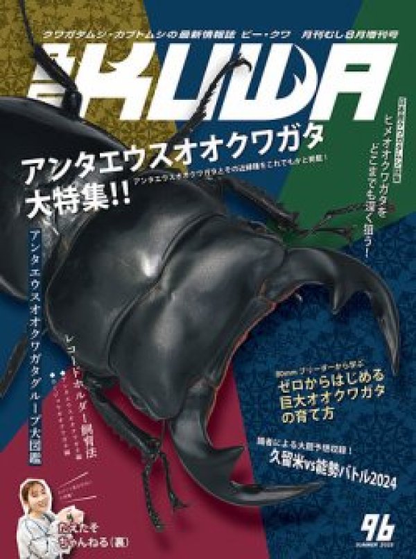画像1: BE-KUWA　96号 (1)