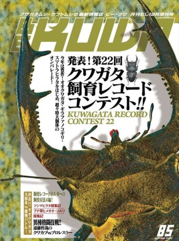 画像1: BE-KUWA　85号 (1)