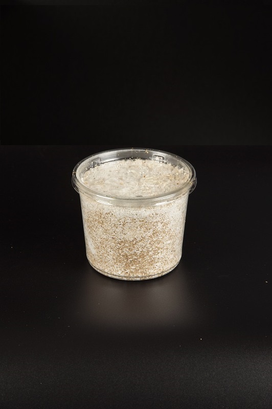 菌糸プリンカップ　430ｃｃ　1個